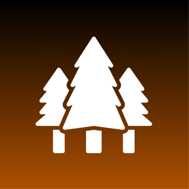 Forest symbol with gradient backdrop