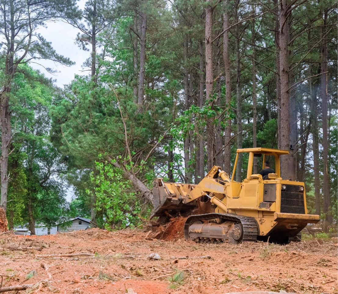 Heavy machinery in wooded area